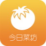 今日菜坊软件