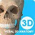 維薩里3D解剖軟件