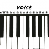 VoiceShow软件