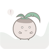 椰子软件