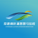 智慧德清軟件
