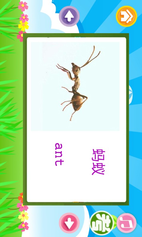 儿童英语卡片软件