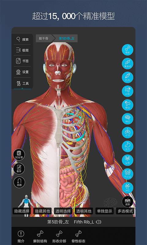 維薩里3D解剖軟件