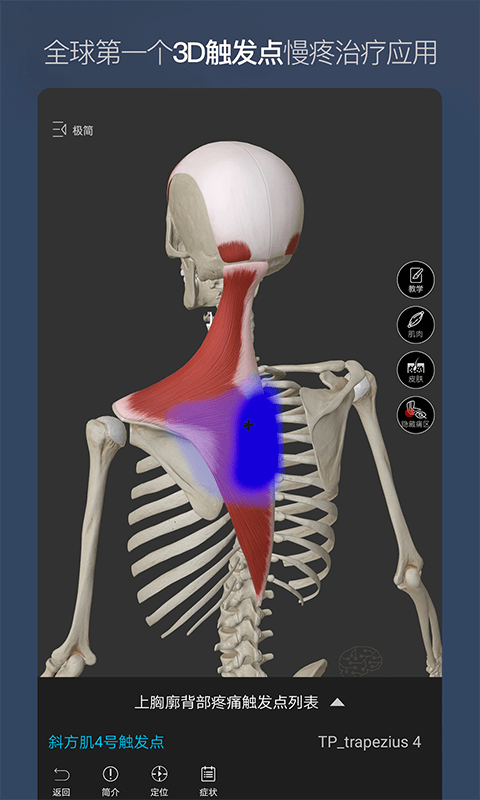 維薩里3D解剖軟件