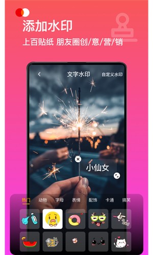 視頻去水印Pro軟件