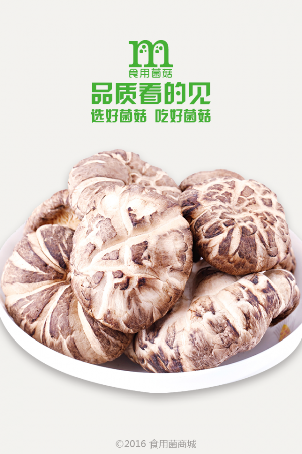 食用菌商務(wù)網(wǎng)軟件
