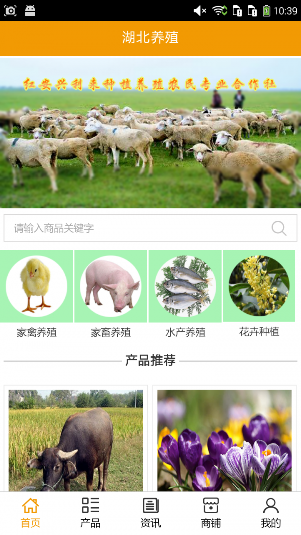 湖北養牛軟件