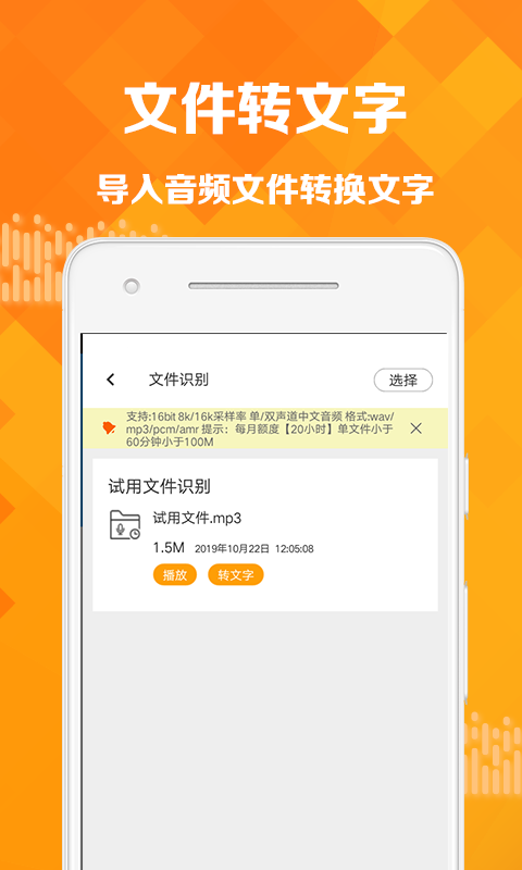 語(yǔ)音轉寫(xiě)大師軟件