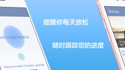 Brevent软件