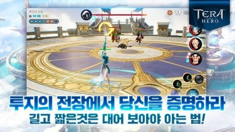 Teravit手游
