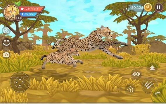 Wild Animal Sports Day手游