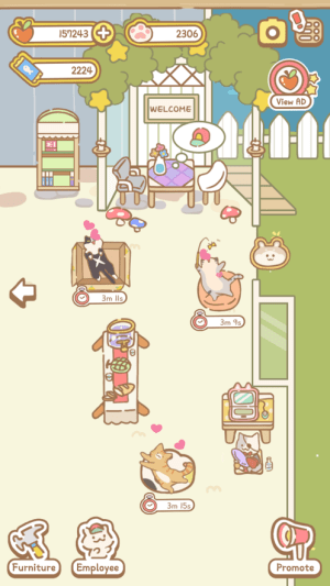 猫猫水族馆手游